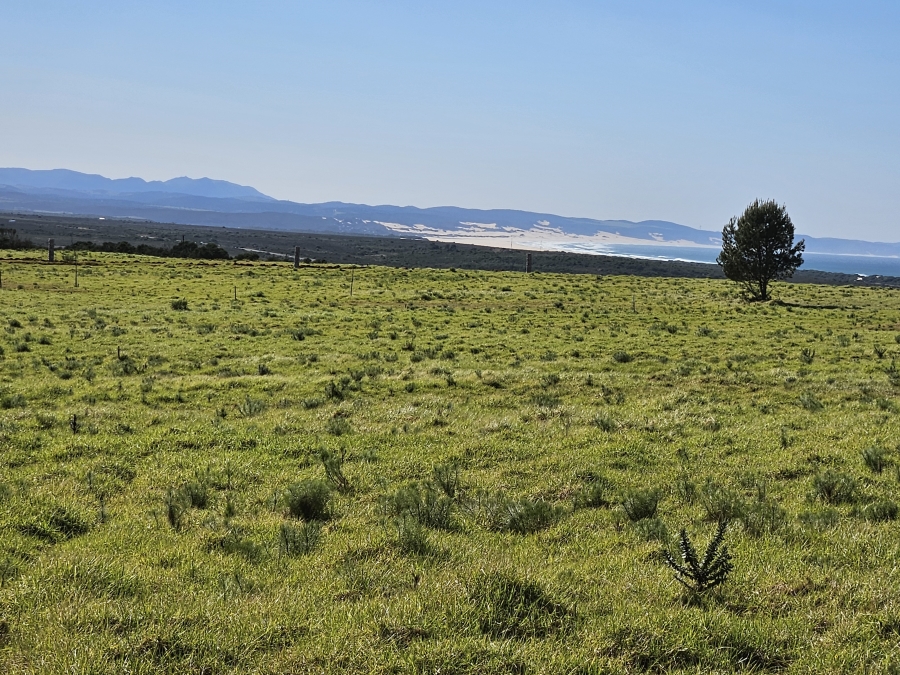 0 Bedroom Property for Sale in Twin Valley Eastern Cape